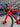 BMC Timemachine SLR01 Carbon - Shimano Ultegra Di2 2x12sp - Fulcrum Speed carbon wheelset