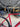 Canyon Ultimate CF SL - Shimano Ultegra Di2 2x12sp - DTSwiss alu wheels