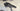 Cervélo Caledonia-5 Carbon - SRAM Red eTap - Zipp 303s carbon