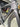 Specialized S-Works Venge - SRAM Red eTap - Dt Swiss ARC 1400 dicut carbon