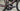 Giant Propel Advanced - Shimano Ultegra Di2 2x12sp - Reynolds carbon wheelset