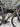 Scott Addict RC Carbon - SRAM Rival AXS 2x12sp - Aluminium