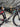 Wilier Filante SLR Carbon - SRAM Red eTap 2x11sp - DT Swiss ARC 1400