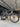Sensa Giulia Evo Carbon - Shimano Ultegra Di2 2x12sp - Supra RFC58 carbon wheelset