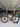 Specialized S-Works Venge Carbon - SRAM Red eTap - ZIPP 303 NSW carbon