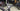 Trek Madone SL6 Carbon - Shimano Ultegra - Bontrager Aeolus carbon wheelset
