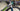 Specialized Roubaix Expert 2020 - Shimano Ultegra - Roval C 38 Disc