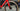 Wilier Cento1NDR Carbon - SRAM Force AXS 2x12sp - Miche carbon wheelset