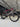 Thompson Falcon Carbon - Shimano 105 Di2 2x12sp - TRC FCR50 carbon wheelset