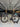 Trek Madone SL6 Carbon - Shimano 105 Di2 2x12sp - FFWD Royt 55 carbon wheelset