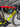 De Rosa Merak Carbon - Shimano Ultegra Di2 2x12sp - Zipp 404 Firecrest