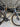 Scott Foil RC Pro DSM Team Edition - Shimano Ultegra Di2 2x12sp - Hunt Aerodynamicist Carbon Wheelset
