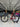 Giant TCR Advanced SL Carbon - SRAM Force AXS 2x12sp - Giant Slr1 carbon wheelset
