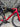 Canyon Ultimate CF SL - SRAM Rival AXS 2x12sp - 45mm carbon wheelset