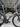 BMC TeamMachine R01 Di2 - Shimano Ultegra Di2 - BMC CR 40 SL