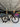 Scott Foil RC30 Carbon - Shimano 105 Di2 2x12sp - Carbon wheelset