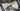 Cannondale SuperSix EVO Carbon - Shimano 105 Di2 - Hollowgram