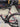 Ridley Fenix SL - Shimano Ultegra - Forza carbon wheelset