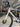 BMC Roadmachine 01 Carbon - SRAM Force AXS 2x12sp - Zipp 303s carbon