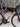 Trek Emonda SLR7 Carbon - Shimano Ultegra Di2 2x12sp - Bontranger Aeolus pro carbon wheelset