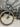 Specialized Crux Expert 2025 - Sram Rival eTap AXS 1x12sp - Roval Terra C