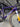 BMC Kaius 01 Gravel - SRAM Force AXS 2x12sp - Scope R4 carbon wheeslet