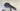 Cannondale SuperSix EVO Carbon - Shimano 105 Di2 2x12sp - Hollowgram Carbon