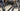 Specialized S-Works Tarmac SL7 - Shimano Ultegra Di2 - Roval Alpinist carbon wheelset