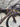 Specialized Diverge Pro - SRAM Force AXS - Roval Terra