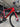 Wilier Filante SLR - Shimano Ultegra Di2 2x12sp - DT Swiss ARC 1400
