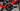 Wilier Cento1NDR Carbon - SRAM Force AXS 2x12sp - Miche carbon wheelset