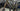 Specialized Roubaix Expert 2020 - Shimano Ultegra - Roval C 38 Disc