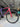 Giant TCR Carbon - Shimano 105 Di2 2x12sp - Carbon/alu wheelset