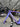 Pinarello F5 Carbon - Shimano 105 Di2 2x12sp - Ere Research Omnia II CLR45