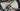 Eddy Merckx 525 Carbon - SRAM Rival AXS 2x12sp - Giant SLR1 Carbon