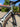 BMC Teammachine SLR ONE - SRAM Force AXS 2x12sp - BMC CRD351 carbon