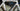 Pinarello Dogma F10 - SRAM Red eTap - Forza R45 carbon