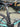 Bianchi Aquila CV Carbon - Shimano Dura-Ace Di2 2x12sp - Vision SC 55 carbon wheelset
