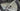 Specialized Aethos Expert 2025 - Sram Rival eTap AXS 2x12sp - Roval C38