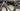 Trek Emonda SLR Carbon - SRAM Rival AXS 2x12sp - Bontrager Aeolus carbon wheelset