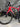 Pinarello F Carbon - SRAM Red eTap - Fulcrum Speed