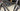 Specialized S-Works Tarmac SL7 - Shimano Ultegra Di2 - Roval Alpinist carbon wheelset