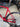 Canyon Ultimate CF SL - Shimano Ultegra Di2 2x12sp - DTSwiss alu wheels