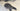 Specialized S-Works Venge Carbon - SRAM Red eTap - ZIPP 303 NSW carbon