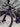 Canyon Ultimate CF SLX Di2 - Shimano 105 Di2 - Vision 45SC Carbon