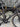 Orbea Orca M20i OMX LTD 2025 - Shimano Ultegra Di2 2x12sp - Vision SC40 Carbon