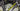 Ridley Fenix Carbon - Shimano Ultegra - Vision 40 Trimax carbon
