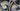 Cannondale SuperSix EVO 2020 - Shimano Ultegra 11sp - HollowGram 35
