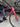 Giant TCR Carbon - Shimano 105 Di2 2x12sp - Carbon/alu wheelset