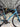 Giant Defy Carbon - Shimano 105 - Aluminium
